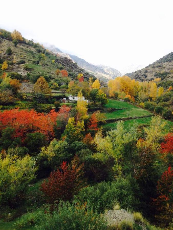 Chalet Cortijo Molino Altero *