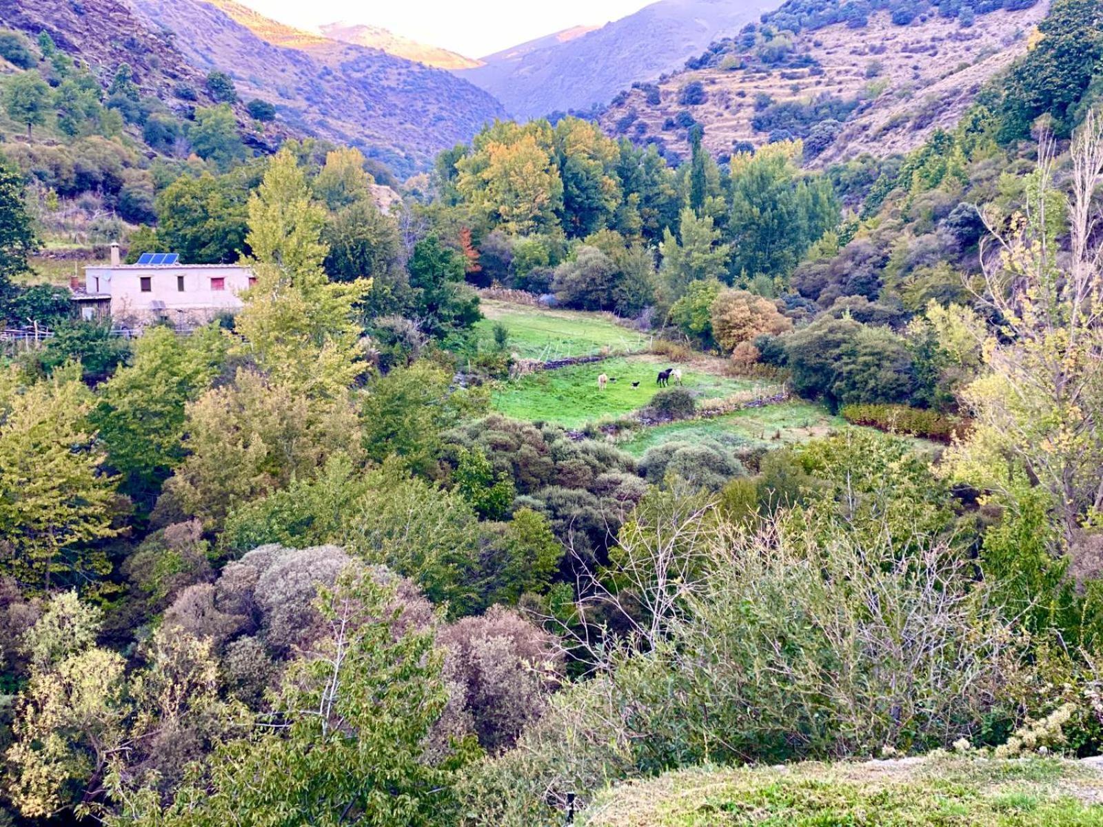 Cortijo Molino Altero *
