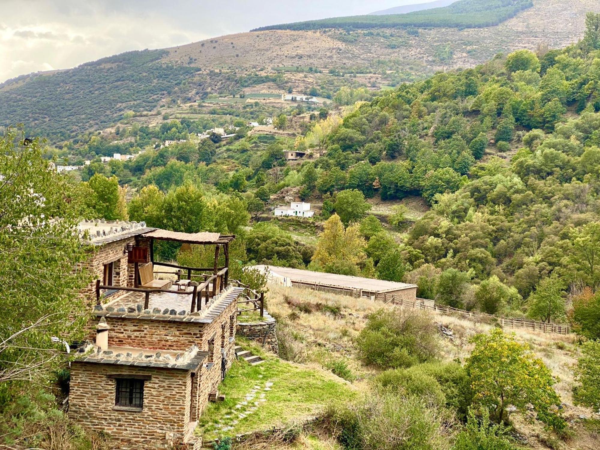 Chalet Cortijo Molino Altero