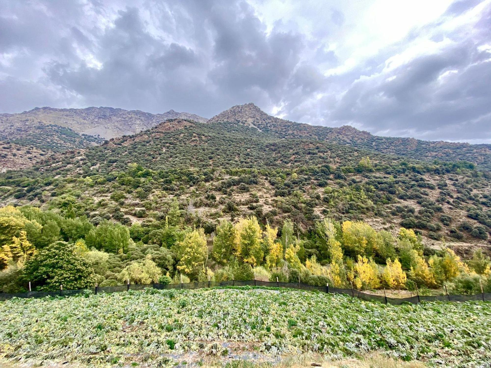 Chalet Cortijo Molino Altero *