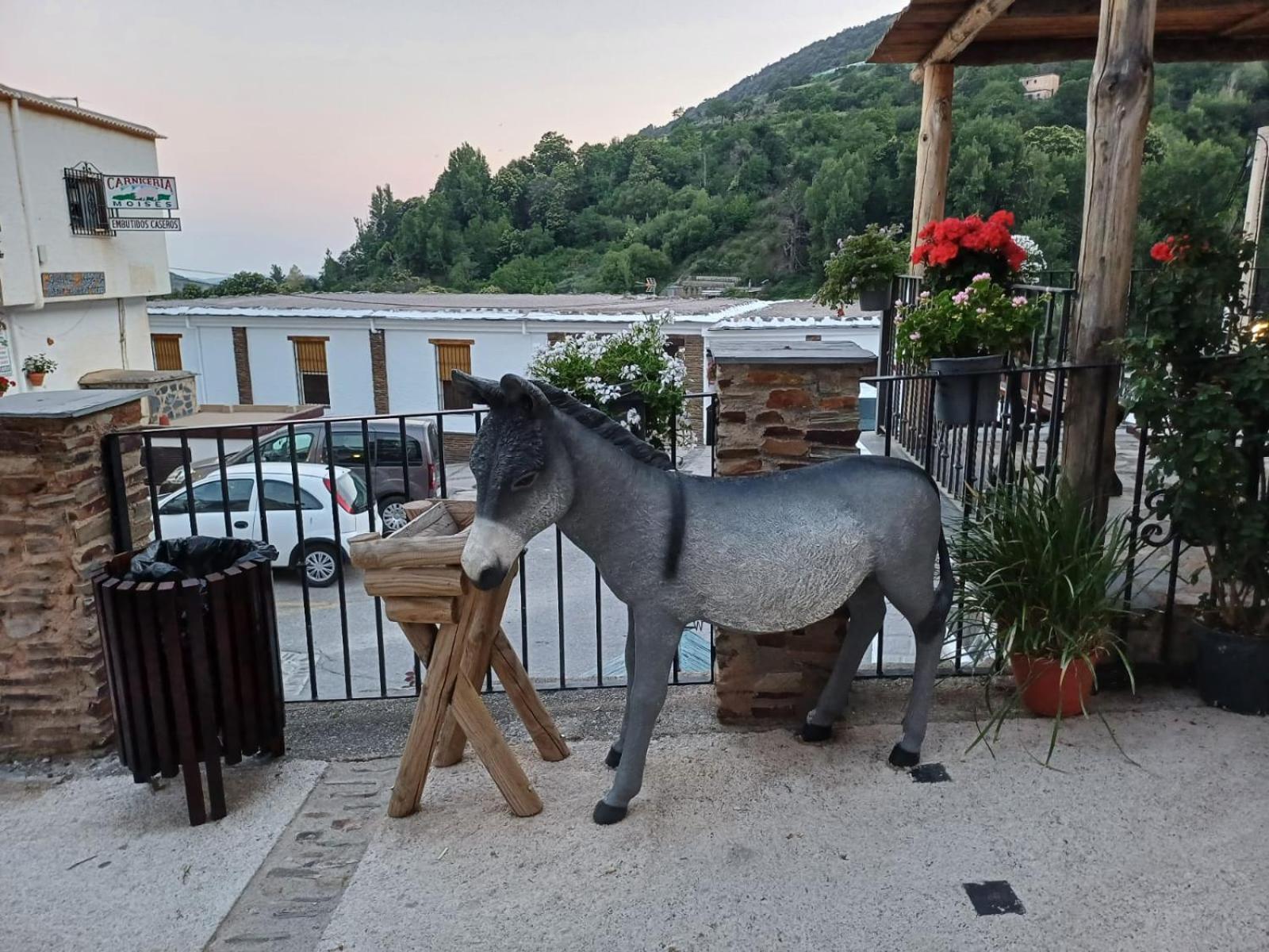Chalet Cortijo Molino Altero