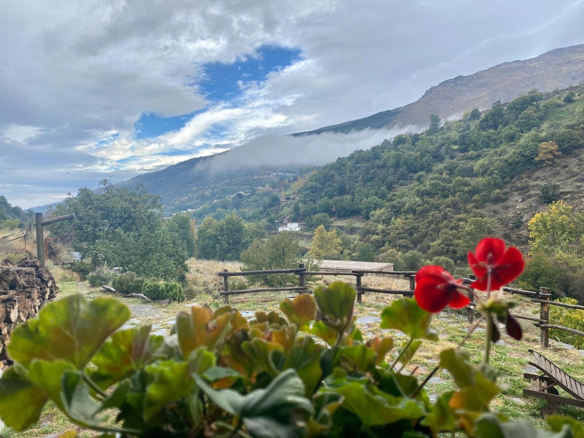 Cortijo Molino Altero Chalet Trevélez